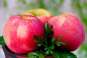 新鲜可口脆甜红色苹果图片